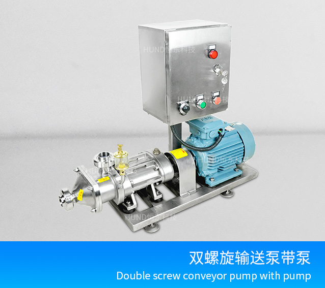 double screw pump