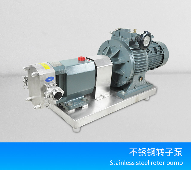 rotary lobe pump